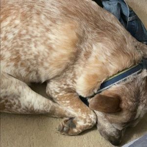 Meet your Posher, Arthur